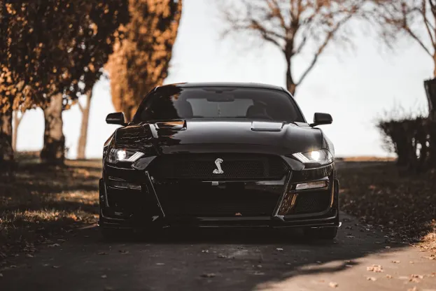 Ripper Casino Application Android/iOS